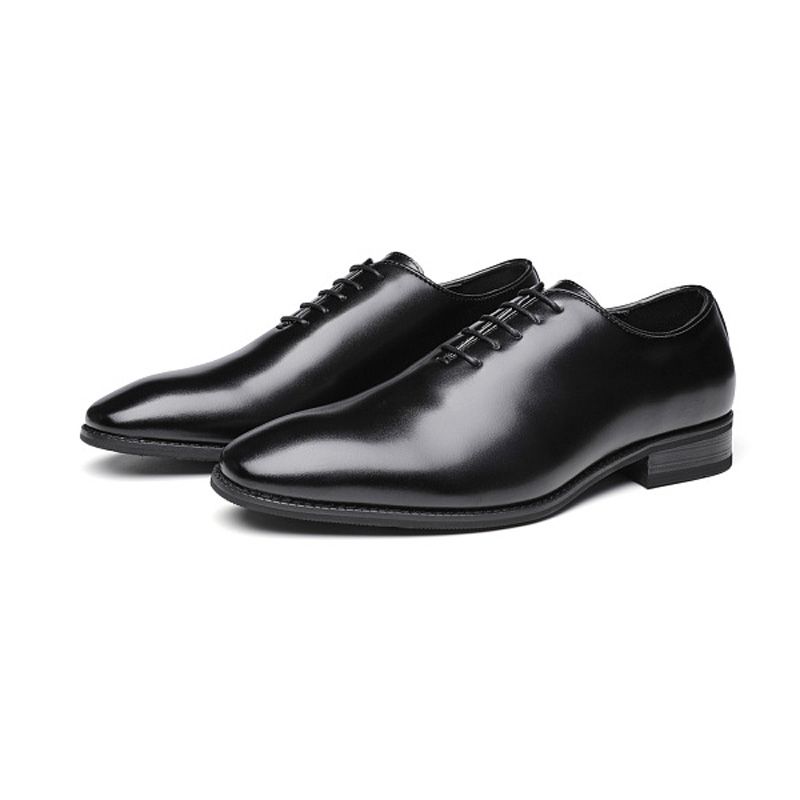 Kjole For Menn Sko Oxford Cow Leather Lace Up Spiss Tå - Svart